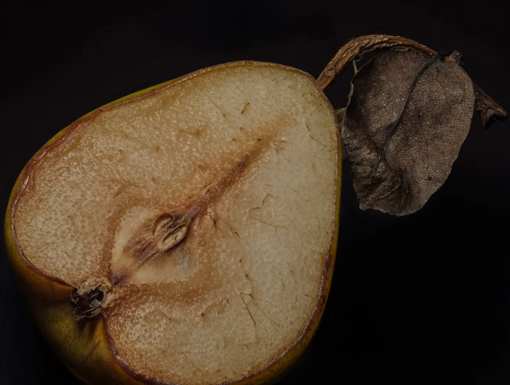 Stilleben — EvokeMedia
